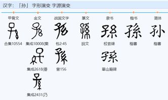 孙子拼音怎么写的，孙子拼音声调