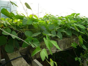 什么什么勃勃成语?