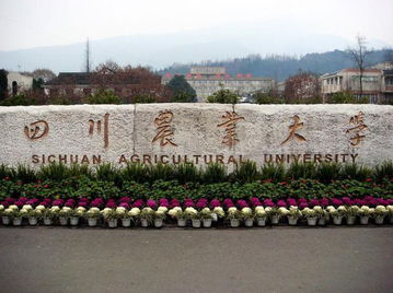 川农是211学校吗