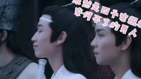 含光君，含光君和魏无羡