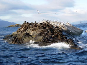 海底两万里火地岛被称为天然的什么