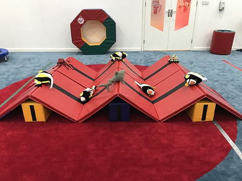 bet sol r怎么组单词?