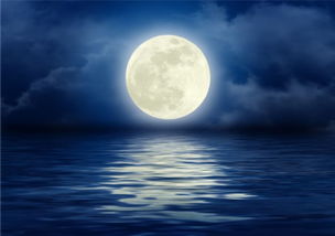 杜甫的月夜古诗全诗是什么