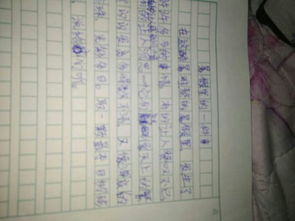 寒假里的一件小事作文400字