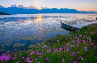 洱海面积多少平方公里 洱海主要景点有哪些