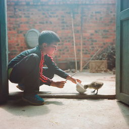 踉踉跄跄的意思解释