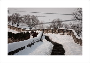 关于雪的古诗大全100首完整的