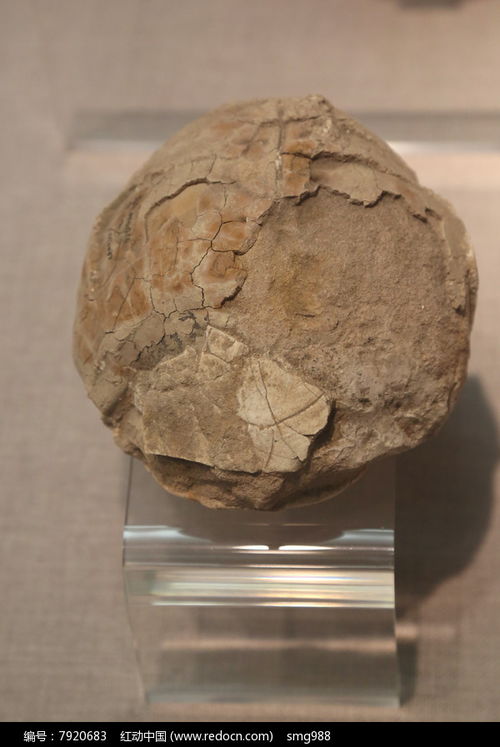 旧石器时代距今多少年，旧石器时代和新石器时代的时间