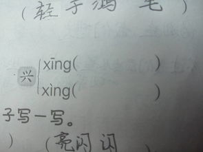 撩,的组词有哪些