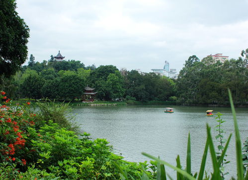 西湖美景的诗句，西湖美景发朋友圈的句子