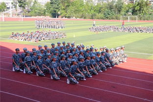 打篮球时队形怎么站(图片)