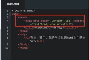 meta的中文意思是什么?