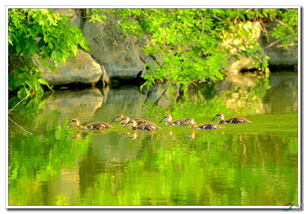 兄弟七八个猜三个数字