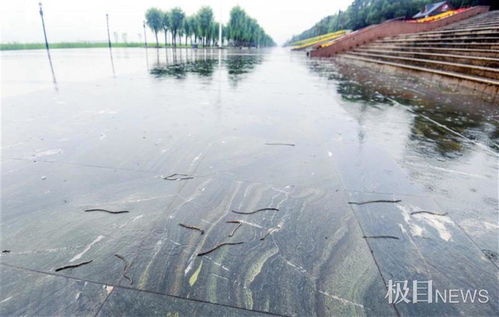 蚯蚓有时候为什么不在土里还要往上爬