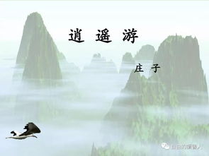 两两相忘是什么意思 怎么理解两两相忘的意思