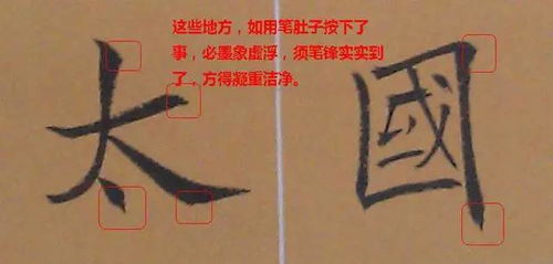 大彻大悟的拼音是什么 词语大彻大悟什么意思