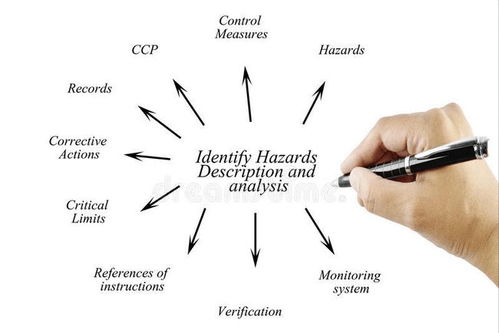 不言而喻造句简单，不言而喻造句po