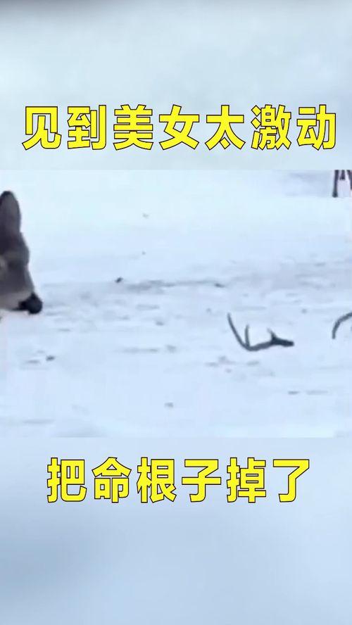 让领导见笑了是什么意思，让各位见笑了是什么意思