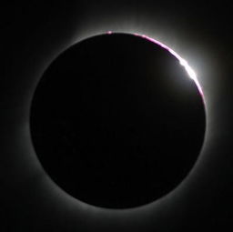 生光的意思，生光打一数字