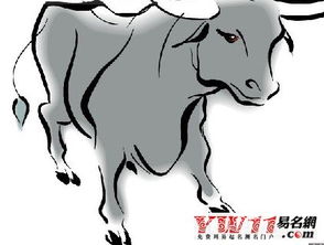 风水大师刘椰荣谈属牛的人2012年运程