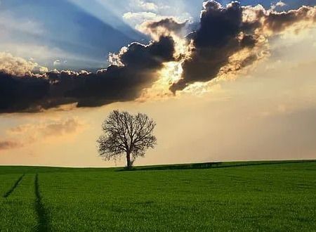 从容镇定的近义词是什么，镇静的反义词是什么