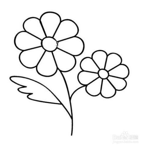 花朵简笔画彩色，花朵简笔画好看又漂亮