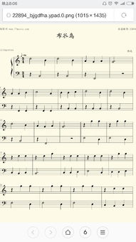 笛子初学者应该学习什么曲谱