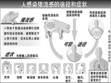 甲型h1n1流感是由什么引起的，甲型h1n1流感患者主要采取的预防控制措施为