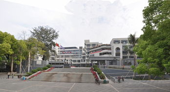 蛇口中学为什么一般