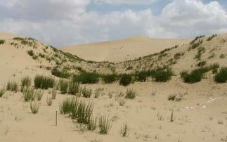 荒漠化是什么?形成的原因是什么?