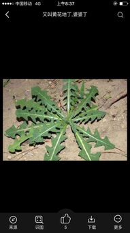 生机勃勃还可以填什么勃勃，什么勃勃的意思