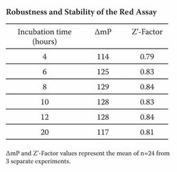 robust的名词是什么