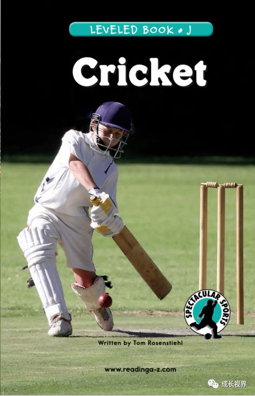 cricket翻译中文，cricket官网