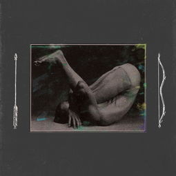 收集英语怎么读