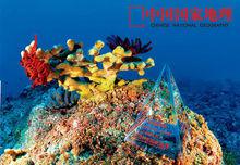 礁_的读音礁_的读音是什么