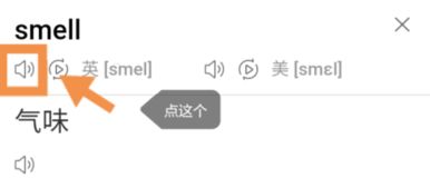 smell怎么读音发音英语怎么说，smelt怎么读