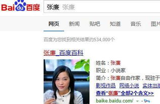 黯乡魂作者 张廉的简介~