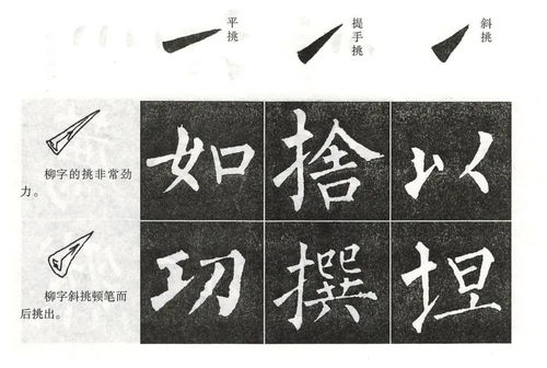 _柳的结构_柳的结构是什么