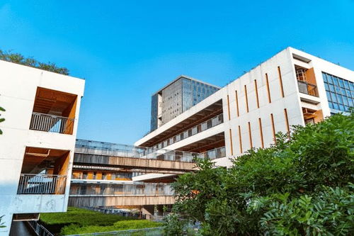 深圳信息职业技术学院学费多少钱，深圳信息职业技术学院3+录取线