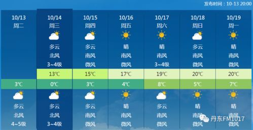 家养柴鸡应具备哪些条件