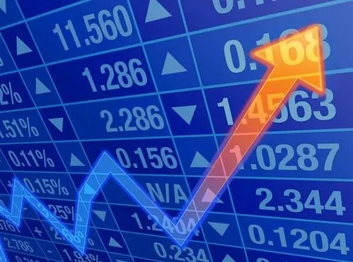 岂有完卵前面一句是什么?