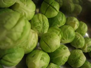 抱子甘蓝种植时间和方法，抱子甘蓝图片