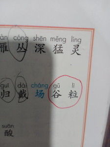 用场组词填在括号里