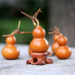 葫芦的种植方法和时间