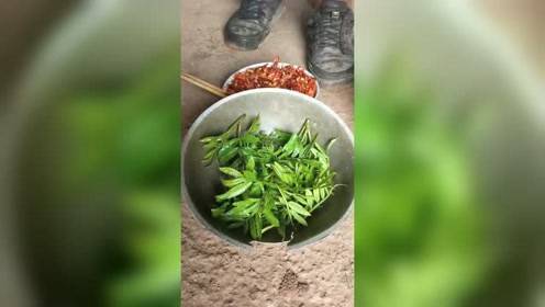 蒙络摇缀的缀是什么意思，蒙络摇缀的蒙是什么意思