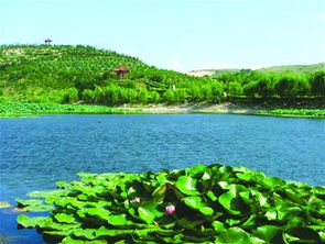 李沧天气预报24小时查询，李沧天气雨报