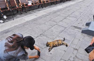 旁若无人是什么意思啊