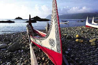 达悟人飞鱼，达悟人是蒙古人种