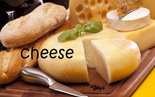 cheese是什么意思