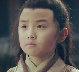 刘如意是怎么死的?刘夫人之子刘如意简介